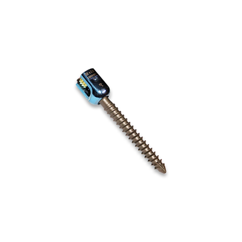 Regular monoaxial screw