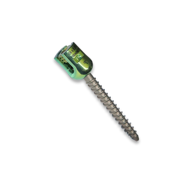 Regular polyaxial screw
