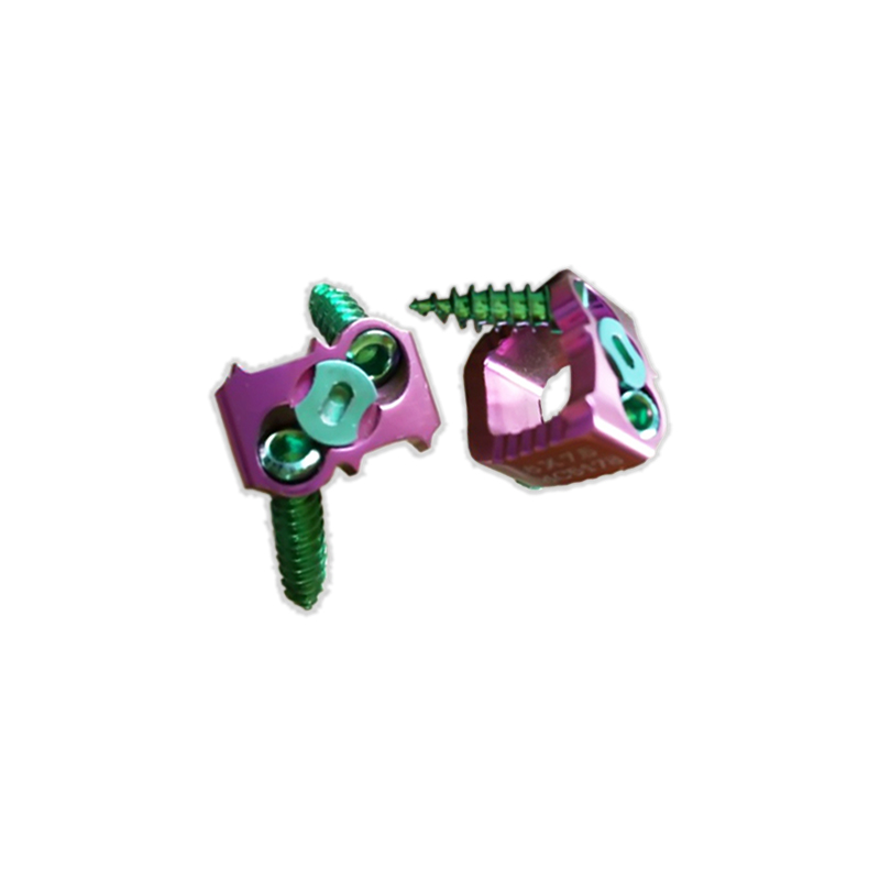 Cervical cage with screw