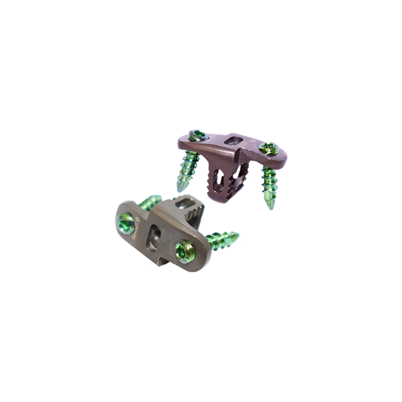 Cervical cage plate with screw