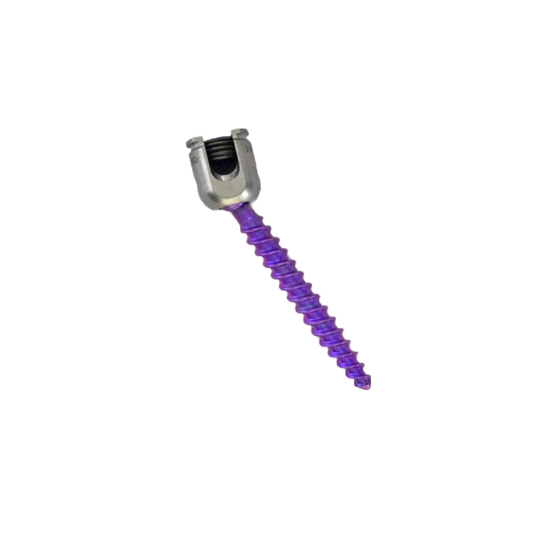 Premium polyaxial screw