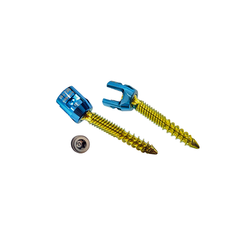 Polyaxial screw