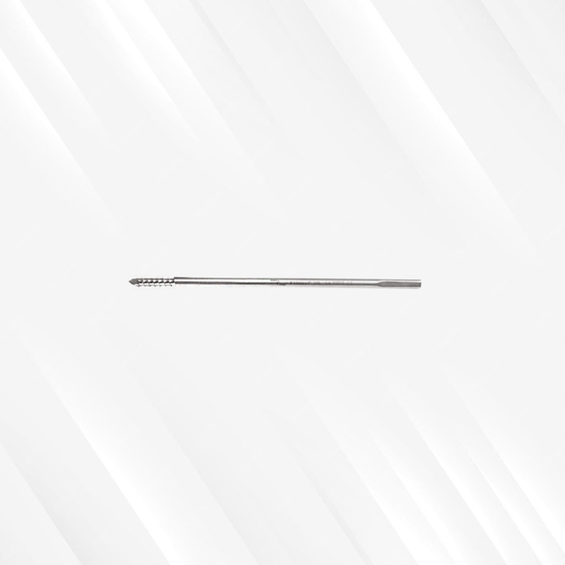 Schanz Screw