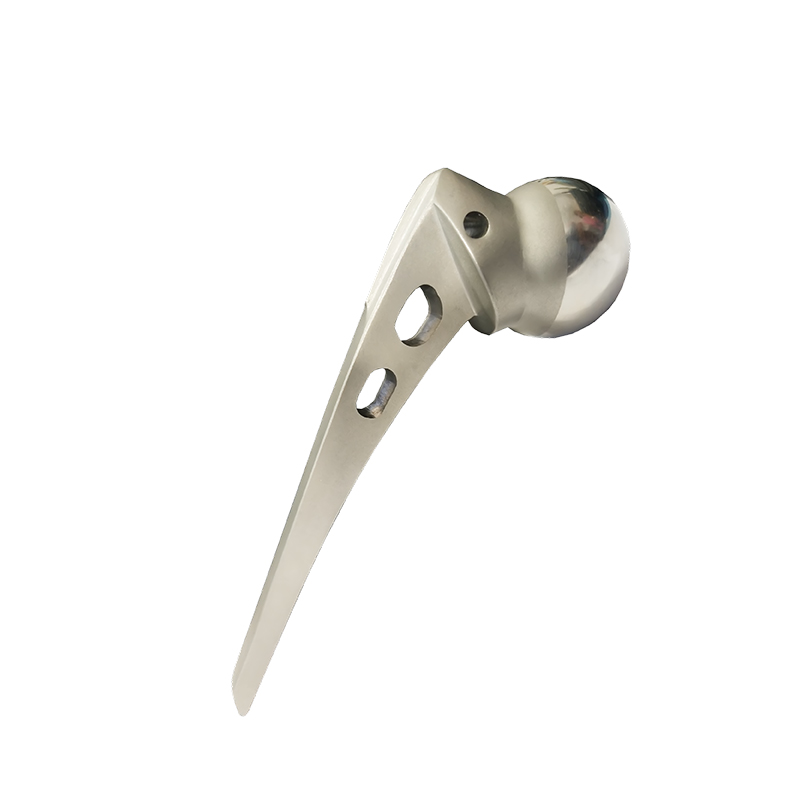 Austin Moore Hip Prosthesis