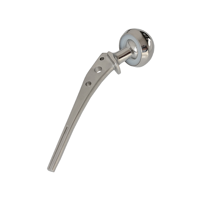 Bipolar Prosthesis (Fenestrated)