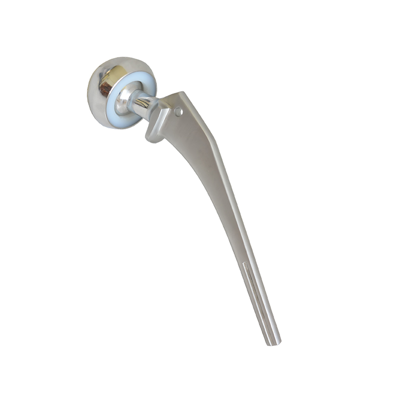Bipolar Prosthesis (Non Fenestrated)